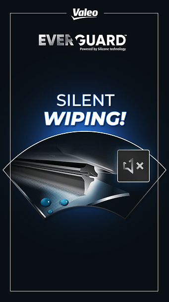 Image Valeo Everguard™