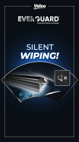 Thumbnail Valeo Everguard™
