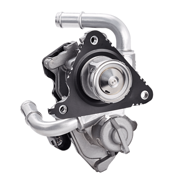 Image EGR valves