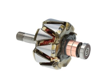 Rotor, alternator