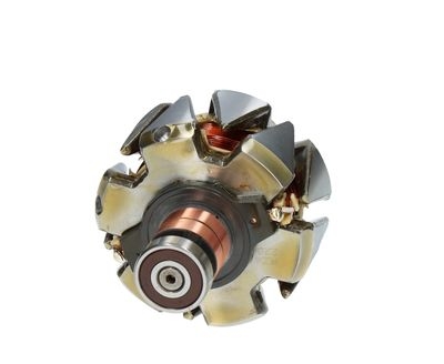 Rotor, alternator