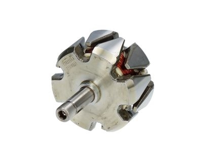 Rotor, alternator