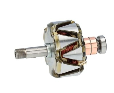 Rotor, alternator