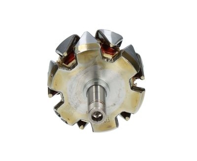 Rotor, alternator