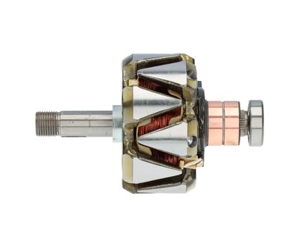 Rotor, alternator