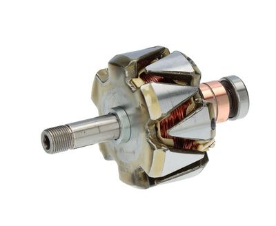 Rotor, alternator