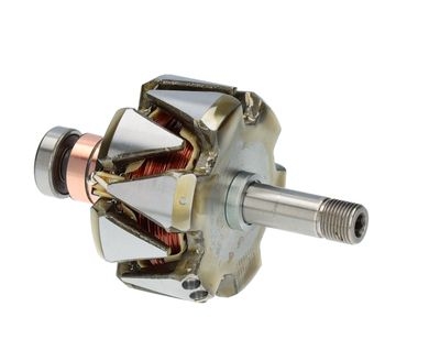 Rotor, alternator