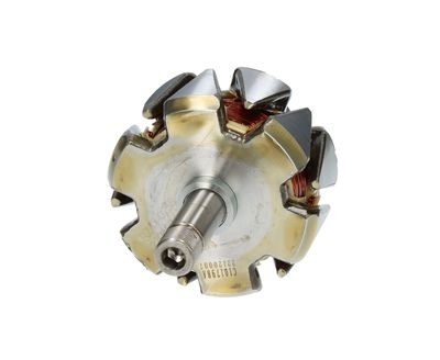 Rotor, alternator