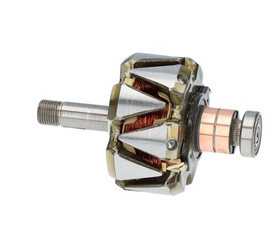 Rotor, alternator