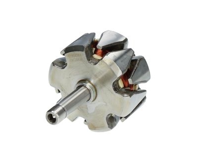 Rotor, alternator