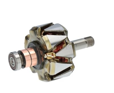 Rotor, alternator