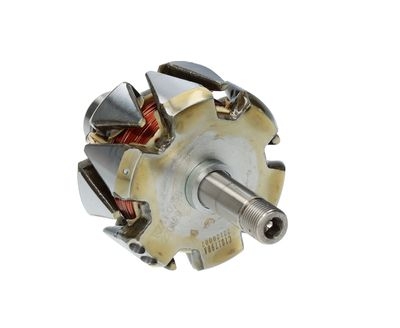 Rotor, alternator