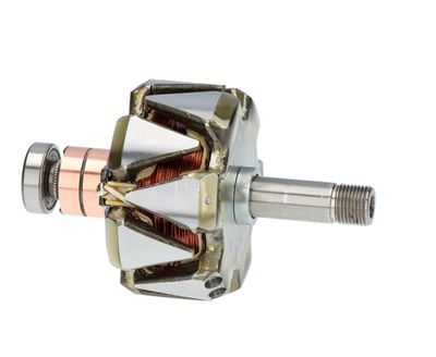 Rotor, alternator