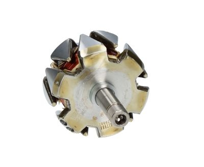Rotor, alternator