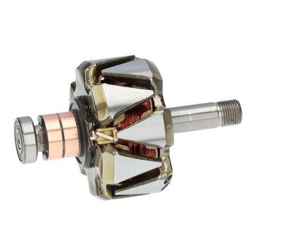 Rotor, alternator