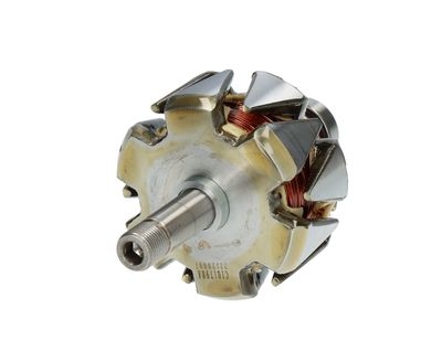 Rotor, alternator